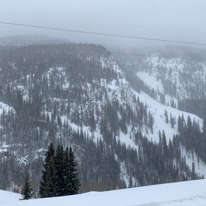 Meet your Posher, Andre